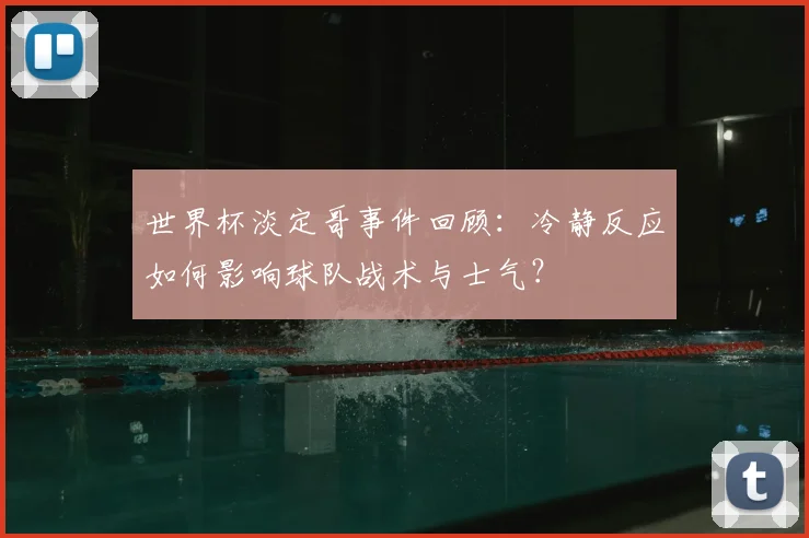 世界杯淡定哥事件回顾：冷静反应如何影响球队战术与士气？