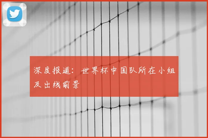 深度报道：世界杯中国队所在小组及出线前景