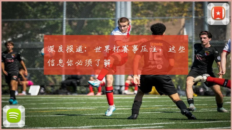 深度报道：世界杯赛事压注，这些信息你必须了解